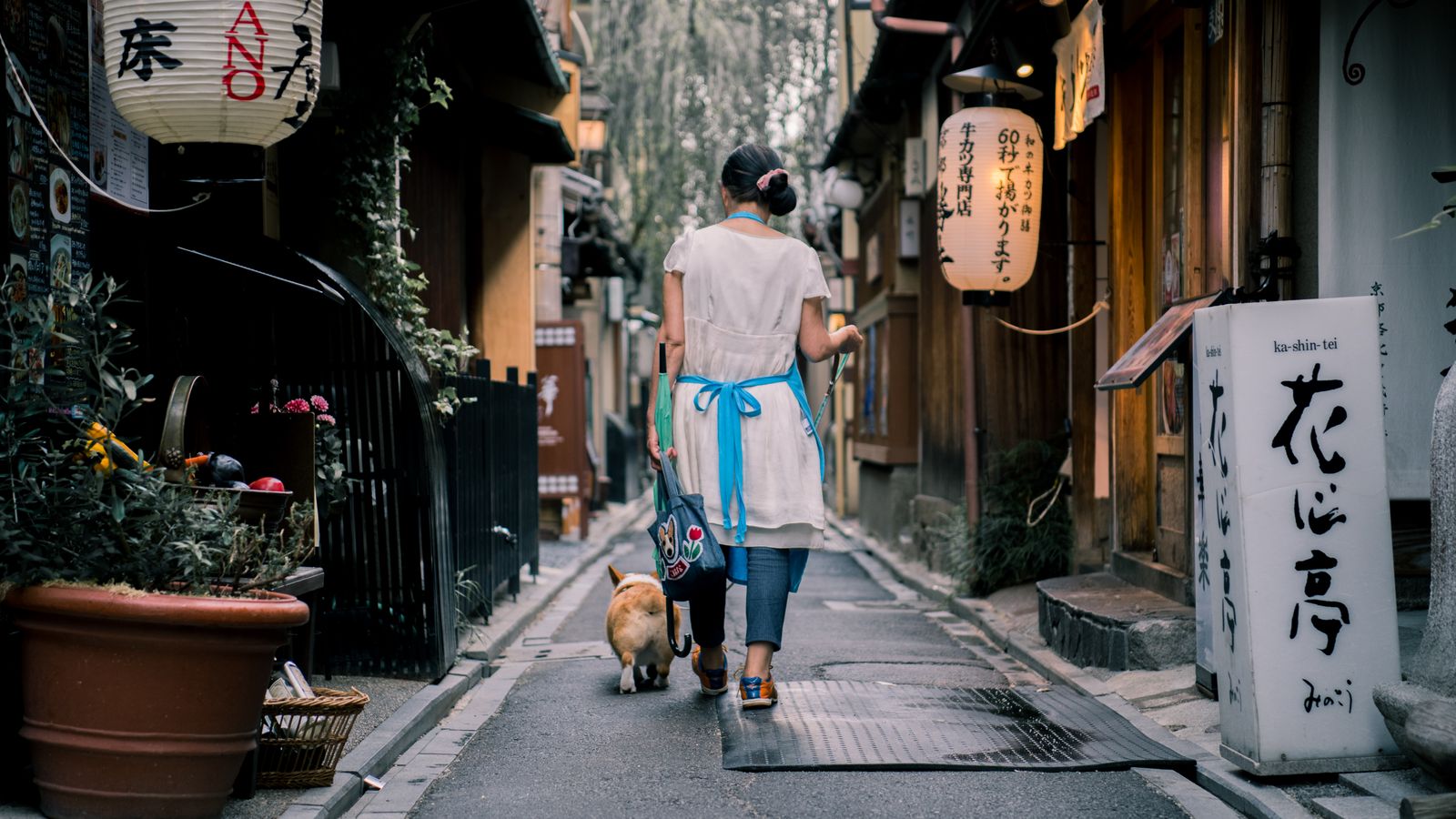 Japanisch lernen